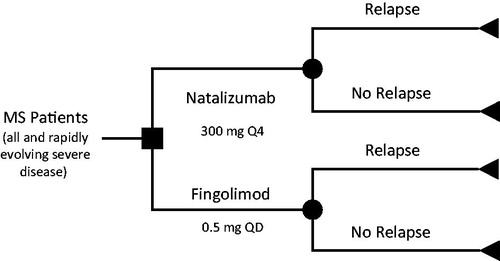 Figure 1. Model schematic.