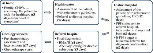 Figure 2 Proposed roadmap for management of a patient with suspected acute leukemia, from onset of symptoms to the initiation of chemotherapy.