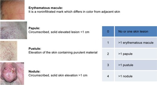 Figure 1 Skin lesion score according to the Eruption Score System.