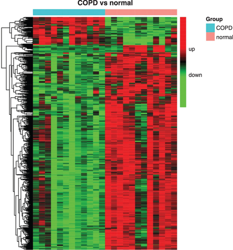 Figure 1 A heat map showing different expression patterns of 1106 genes with a P <0.05 and absolute fold change >1.5 or <-1.5 in patients with COPD and normal controls. The heat map indicates upregulation (red), downregulation (green), and mean gene expression (black). The columns represent individual samples, including 12 COPD and 12 control samples. The rows represent individual gene symbols.