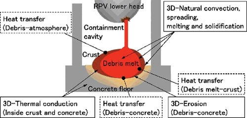 Figure 3. Schematic of the debris spreading analysis (DSA) module in the SAMPSON code [Citation129].