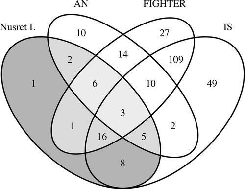 Figure 6. Set relations of foreign fighters, individuals connected to Nusret I., individuals affiliated with JN, and individuals affiliated with is (i.e. in mvQCA denotation: INF[1]*ROLE[1]*GROUP[2]*GROUP[1]).
