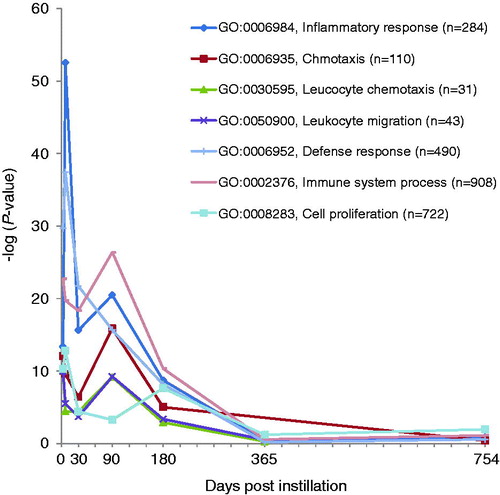 Figure 5. Time-dependent changes in p values of statistically over-represented GO terms of H-SWCNT-induced genes.