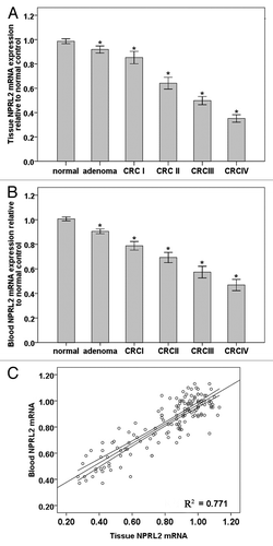 Figure 2. (A) NPRL2 mRNA expression in colorectal tumors (stage I–IV) relative to normal controls. (*P < 0.0001). (B) NPRL2 mRNA levels in blood of CRC patients (tumor stage I–IV) relative to normal controls. (*P < 0.0001). (C) Correlation of tumor and blood NPRL2 mRNA expression in adenomas, colorectal tumors, and normal controls (r = 0.878; *P < 0.0001; R2 = 0.771).