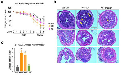 Figure 8. Impact of LA on gut microbiome.