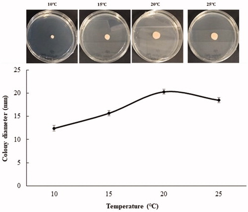 Figure 4. Effect of temperature on colony growth of Taphrina deformans on potato dextrose agar.