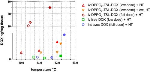Figure 3 DOX concentrations of the HT groups at mucosa (dark filling), detrusor (light filling), and serosa (clear filling).