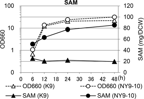 Figure 5. SAM content during cell growth in O medium in the K9 and NY9-10 strains.Cell extracts were obtained at the indicated time points. The optical density at 660 nm (OD660, opened, dashed lines) and the SAM content (closed, solid lines) were determined. Symbols: triangles, K9; circles, NY9-10. Values are presented as mean ± standard deviation for three independent experiments.