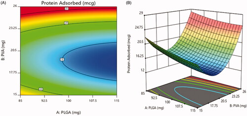 Figure 8. Effect on protein adsorbed (a) 2D – contour plot and (b) 3D – response surface plot.