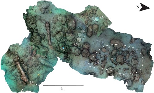 Figure 34. Showing a 3D shaded model of the 2022 gun site, also showing the cluster of dead eye shrouds and chain plates plus other objects. RM – rotary hand mill, SS – sharpening stone and deadeye shrouds and chain plates within the dashed area. Scales are 1 m with 20 cm increments and 50 cm with 10 cm increments (surveys and models produced by Daniel Pascoe).