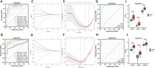 Figure 5 Identification and validation of diagnostic biomarkers for SLE-related AMI. (A and B) ROC analysis revealed diagnostic power of the identified hub genes among the GSE62646 and GSE50772. (C and E) LASSO coefficient profiles and LASSO deviance profiles in GSE62646. (D and F) LASSO coefficient profiles and LASSO deviance profiles in GSE50772. (G and H) ROC analysis revealed the combined diagnostic efficacy of three biomarkers (DYSF, LR1G and CSF3R) identified by LASSO regression analysis. (I and J) Expression levels of three biomarkers in SLE and AMI samples; **P < 0.01; ***P < 0.001.