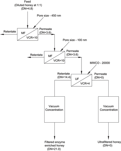 Figure 4 Schematic diagram of membrane processing of honey.[Citation40]