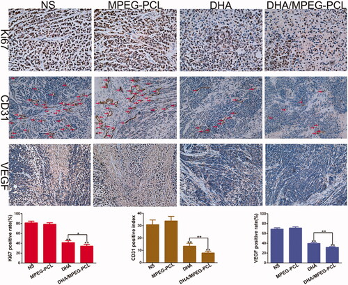 Figure 8. Representative images of immunohistochemical analysis of each group for the evaluation of Ki67 (×400), CD31 (×200), and VEGF (×200), and quantitative analysis of corresponding items. The red arrows represent the location of blood vessel. *p<.05; **p<.01.