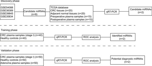 Figure 1 Flow diagram of the study design.Abbreviations: TCGA, The Cancer Genome Atlas; CRC, colorectal cancer; qRT-PCR, quantitative real-time polymerase chain reaction; ROC, receiver operating characteristic.