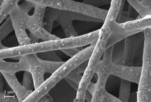 FIG. 2. SEM-image of a moderately loaded filter.