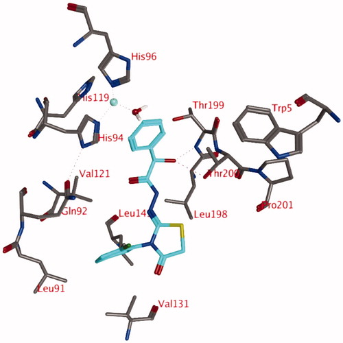 Figure 4. Snapshot of docking pose 1 after a 1 ns MD simulation, showing compound 3d (OH in R isomer) in the active site of hCA IX. Hydrogen bonds and interactions to the Zn2+-ion are depicted in red dashed lines.