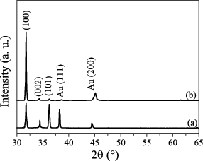 Figure 3. XRD patterns of the ZnO nanostructures grown in: (a) H2O vapour; (b) O2 gas.