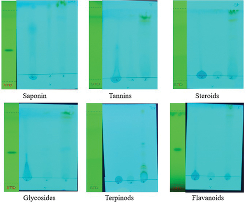 Figure 1. Thin-layer chromatography analysis of Annona muricata.