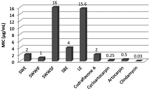 Figure 5. Graphical representation of the MIC values (μg/mL) of crude extracts and isolated flavonoids against P. acnes.