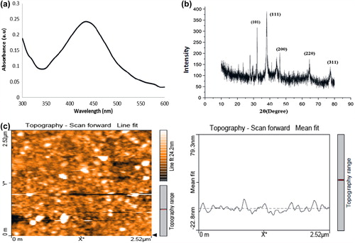 Figure 1. Characterization of synthesized AgNPs. (a) UV–Vis spectrum of AgNPs (b) XRD pattern of AgNPs (c) AFM image of AgNPs.