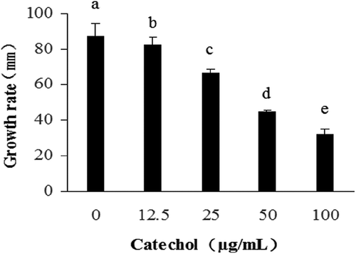 Fig. 2 The growth rates of R. solani AG-1 IA cultured in PDA at different concentrations of catechol. Bars represent the mean ± standard error of three replicates; data with different letters are significantly different (P < 0.05) using Duncan’s multiple range test.