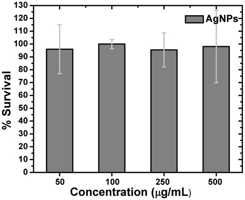 Figure 11. MTT assay for AgNPsC for PBMC.