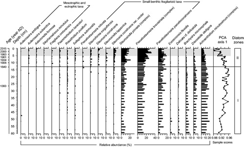 Figure 6. Stratigraphic relative abundance variation profiles of the most common diatoms (≥2.5% in at least one level, except for Stephanodiscus minutulus) preserved in the composite core along with the profile of the PCA axis 1 sample scores summarizing the stratigraphic variations in the composition of the whole diatom assemblages. The black line (1840 AD) delimits the 2 statistically distinct diatom zones, whereas the gray shaded area marks the period of modern settlement in the catchment (i.e., 1971–2015). Note. The Staurosirella pinnata complex includes S. pinnata (mainly), S. pinnata var. acuminata, and S. pinnata var. intercedens; the Pseudostaurosira brevistriata complex includes P. brevistriata (mainly), P. brevistriata var. papillosa, and P. brevistriata var. elliptica; and the Achnanthidium minutissimum complex includes capitate and noncapitate forms of A. minutissimum.
