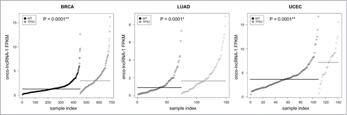 Figure 4. Association between onco-lncRNA-1 expression and TP53 mutational status. Plots showing expression levels (FPKM) of onco-lncRNA-1 for BRCA (left), LUAD (middle), and UCEC (right). Gray points correspond to TP53 mutated samples and black points correspond to TP53 wild type (WT) samples. Samples are ordered on the x-axis by expression within each group. Black and gray horizontal lines display the median expression across each group. P-values for each mutational association are also reported (* FDR< 0.05, ** FDR < 0.01).