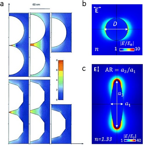 Figure 2. (a) The magnitude of the EM enhancement for dimers of silver NPs (left and middle columns) compared with single isolated silver NPs (right column). Reproduced from Ref. [Citation28] with permission. Copyright 2000 American Chemical Society. (b) and (c) EM enhancements for a (b) spherical and (c) spheroidal gold NP. Adapted from Ref. [Citation32] with permission. Copyright 2022 Royal Society of Chemistry.