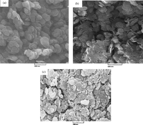 Figure 4. SEM images of (a) NO3–LDH; (b) olsalazine–LDH, prepared via the coprecipitation method and (c) olsalazine–LDH, prepared by the ion-exchange method.