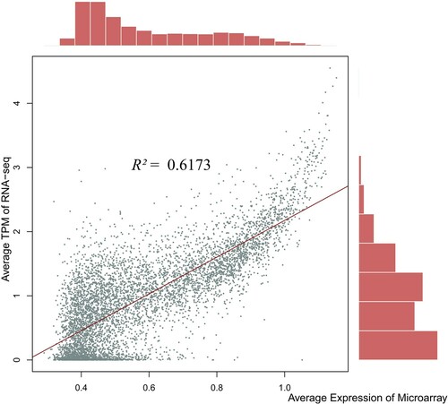 Figure 3. Concordance between different expression profiling platforms. Average TPM of RNA-seq against average expression across all groups from microarray in the same breast muscle tissue.