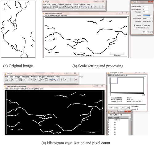 Figure 9. Image analysis.