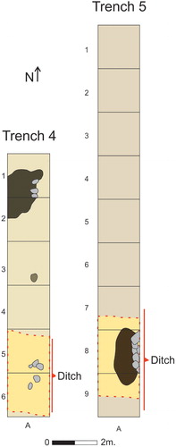 Figure 9. Plan of Trenches 4 and 5, with funerary remains and the ditch enclosing the ritual area of the necropolis (design by J. F. Torres-Martínez and M. Galeano, Bernorio-IMBEAC Team).