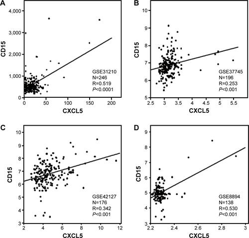 Figure S1 Regression analysis between CXCL5 with neutrophil surface marker CD15 in GSE31210 (A), GSE37745 (B), GSE42127 (C), and GSE8894 (D).