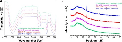 Figure 4 FTIR spectrum and XRD images of the magnetic nanocomposites.Notes: The FTIR (A) and XRD (B) spectra of all the magnetic nanocomposites were similar, although they differed slightly from each other due to different weight ratios of MNPs.Abbreviations: FTIR, Fourier-transform infrared; XRD, X-ray diffraction; MNPs, magnetic nanoparticles.