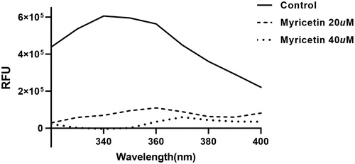 Figure 3. Fluorescence quenching spectra of ASFV protease. A solution containing 1 μM ASFV protease showed a strong fluorescence emission (the solid line) with a peak at 340 nm at the excitation wavelength of 295 nm. After adding 20 μM (the dashed line) and 40 (one dotted line) μM inhibitory compound, fluorescence quenching spectra were obtained.