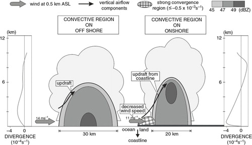 Fig. 15 Schematic representation of convective region in precipitation system at offshore and onshore. Shading region indicates variation in the reflectivity of radar. Thick arrows shaded grey colour and thin black arrows are horizontal wind at 0.5 km ASL and vertical airflow components, respectively.
