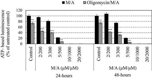 Figure 2. Effect of oligomycin-A (100 ng/mL) on the absolute steady-state ATP levels in M/A-treated leukaemic lymphocytes (Jurkat) after 24 h and 48 h of incubation in humidified atmosphere. Data are means ± SD from three independent experiments with four parallel measurements for each experiment. *p < 0.05, **p < 0.01, p < 0.001: oligomycin/M/A-treated versus the respective M/A-treated cells or oligomycin-treated sample versus the untreated cells (control). ATP-based luminescence in the untreated cells was considered 100%.