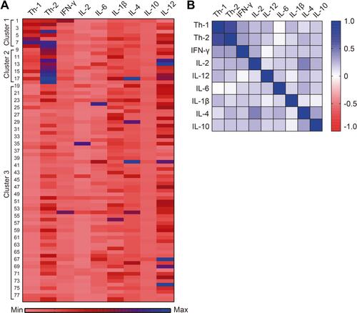 Figure 3 Heat map of Th1 and Th2 cells and serum cytokine levels by cluster. (A) In the heat map, rows represent individual subjects, while columns display Th1 and Th2 cells and cytokine levels, (B) correlation between Th1 and Th2 cells with pro- and anti-inflammatory cytokines in the total population. Spearman correlation coefficient was calculated.