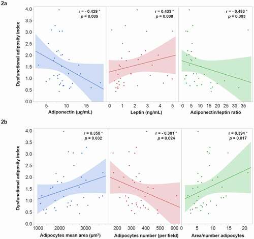 Figure 2. Correlation of dysfunctional adiposity index with functional (2a) and morphological (2b) characteristics of adipose tissue in 36 healthy subjects. * Spearman correlation coefficient, the shaded area represents the 95% confidence interval