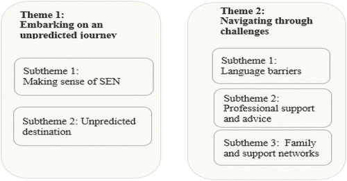 Figure 1. Themes and subthemes identified from the interview analysis.