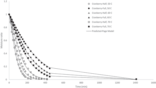 Figure 2. Experimental and predicted (Page model) moisture ratio of cranberry pomace dried at 50, 60, and 70°C at half and full load density conditions