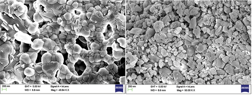 Figure 4. SEM image of copper nanoparticles synthesized using Pedalium murex L. fruit extract at 200 nm electron image.