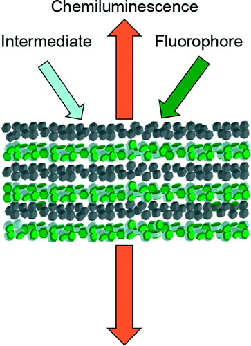 Figure 2. Schematic of the chemiluminescence (CL) reaction in the porous one-dimensional (1D) photonic crystal. The CL reagents are infiltrated at the same time in the porous structure. The CL spectrum will be modulated by the photonic structure