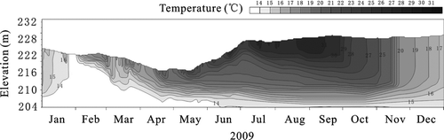 Figure 3 Water temperature of the southeastern lacustrine zone (bottom elevation: 204 m) measured by thermistor chain throughout 2009.