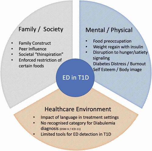 Figure 1. Environment contributors to ED Risk in T1 Diabetes.