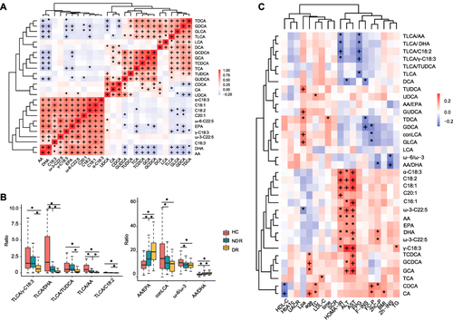 Figure 3 Clustering analysis and levels of serum levels of bile acids and unsaturated fatty acids among Healthy Control (HC), T2DM patients, with Diabetic retinopathy (DR) patients. Bile acids clustering for each patient and each group were shown in (A). (C) was the Spearman correlation analysis between 15 bile acids and 11 unsaturated fatty acids. (B) ratios of bile acids and unsaturated fatty acids distribution between three groups. (D) was the Spearman correlation analysis among bile acids, unsaturated fatty acids, ratios with clinical indicators in T2DM and DR patients. (B) Wilcoxon rank sum test (*p < 0.05). (A and C) *p < 0.05, +p < 0.01.