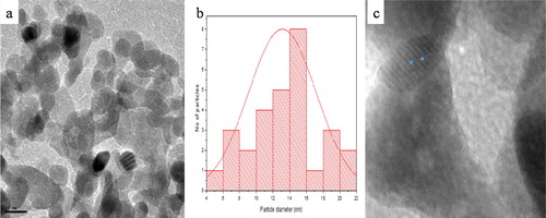 Figure 2. (a) TEM micrograph, (b) Particle size distribution histogram and (c) High-resolution transmission electron microscopy (HRTEM) of broc-ZnO.