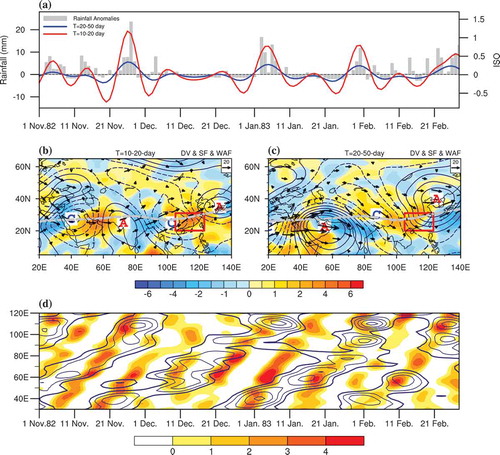 Figure 3. Time series of the daily rainfall anomalies over South China (histogram; units: mm d−1), the 10–20-day (blue curve) and 20–50-day (red curve) filtered PC1 in 1982/83. Phase 7 of the (b) 10–20-day and (c) 20–50-day low-frequency streamfunction (contours; units: 106 m2 s−1; solid and dashed lines represent the positive and negative values, respectively), divergence (shading; units: 10−5 m s−2) and wave activity flux (vectors; units: m2 s−2) at 200 hPa in winter 1982/83. Here, according to the ISO rainfall indices (a), each active–inactive cycle is divided into eight phases. Phase 1 represented a transition from an active to inactive period, while phase 5 is a transition from an inactive to active phase period. Phases 3 and 7 are the peaks of the inactive and active period, respectively. Phases 2, 4, 6, and 8 occur at the time when the oscillation reaches half its maximum or minimum value. The red rectangle shows the South China region defined in this study. (d) Time–longitude cross section of the 10–20-day low-frequency divergence (shading; units: 10−5 m s−2) and the 20–50-day low-frequency divergence (contours; units 10−5 m s−2) at 200 hPa averaged between 20°N and 30°N in 1982/83.