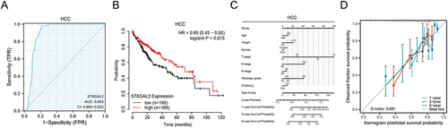 Figure 2 The diagnosis and prognosis value of ST6GAL2 in HCC. (A) The receiver operating characteristic curve of ST6GAL2 expression in HCC (n = 424). (B) The overall survival (OS) analysis between ST6GAL2 expression and HCC. (C) A nomogram that combines ST6GAL2 and other prognostic factors in HCC. (D) The calibration curve of the nomogram.